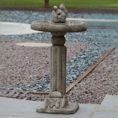 Classic Squirrel Stone Garden Birdbath