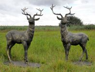 Large Life Size Pair of Bronze Stags Sculptures - Deer Garden Ornaments